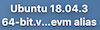 Double click on Ubuntu 18.04.3 icon