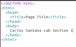 change page body to name and lab section number