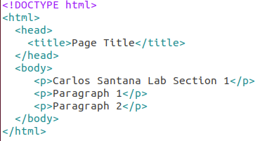 adding paragraph tags