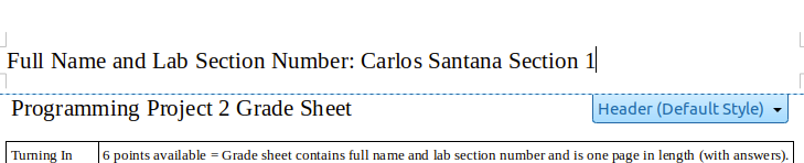 type name and lab section number in header