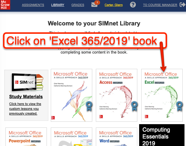 Click on the Excel 356/2019 book
