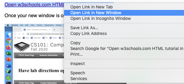 right click link and select open in new window.
