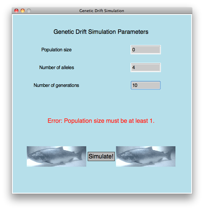 Simulation window with error message