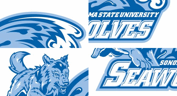 Shuffled Seawolves logo