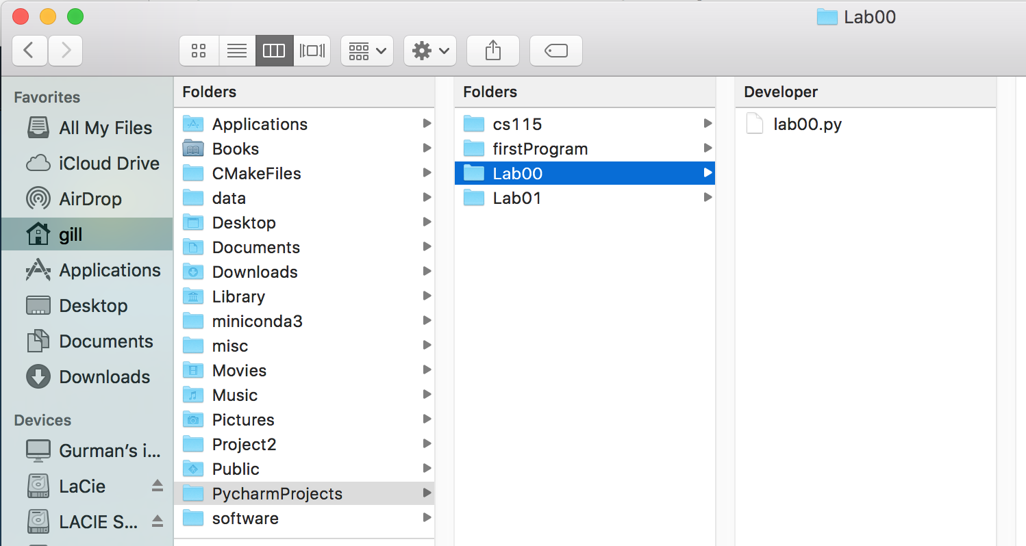 PyCharm path to the program