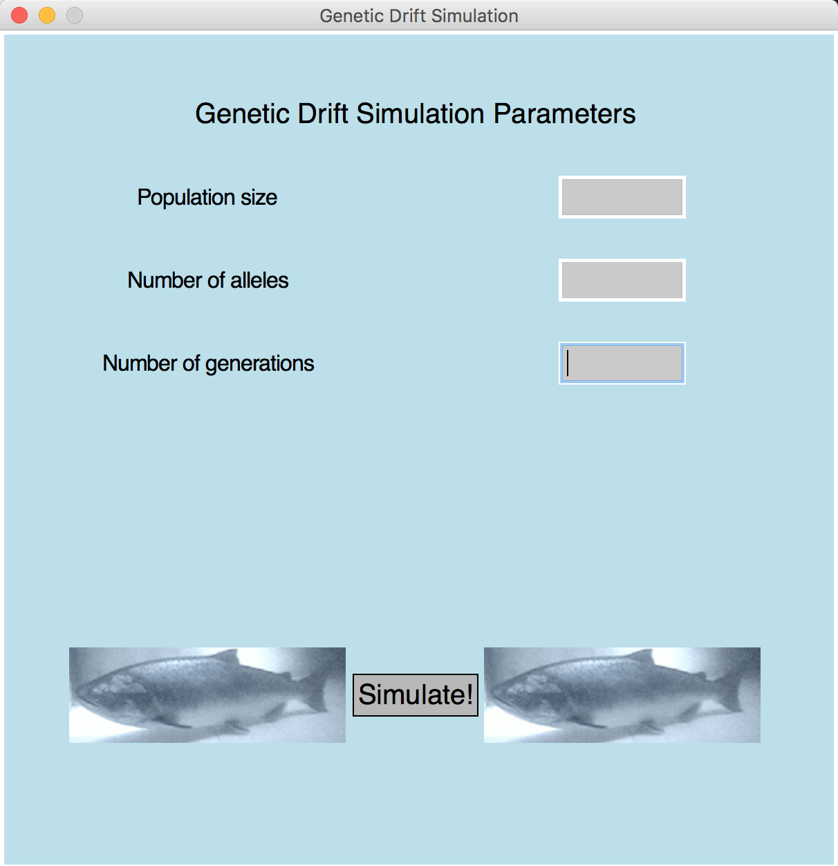 Graphical window with text boxes for simulation parameters and a button to run simulation