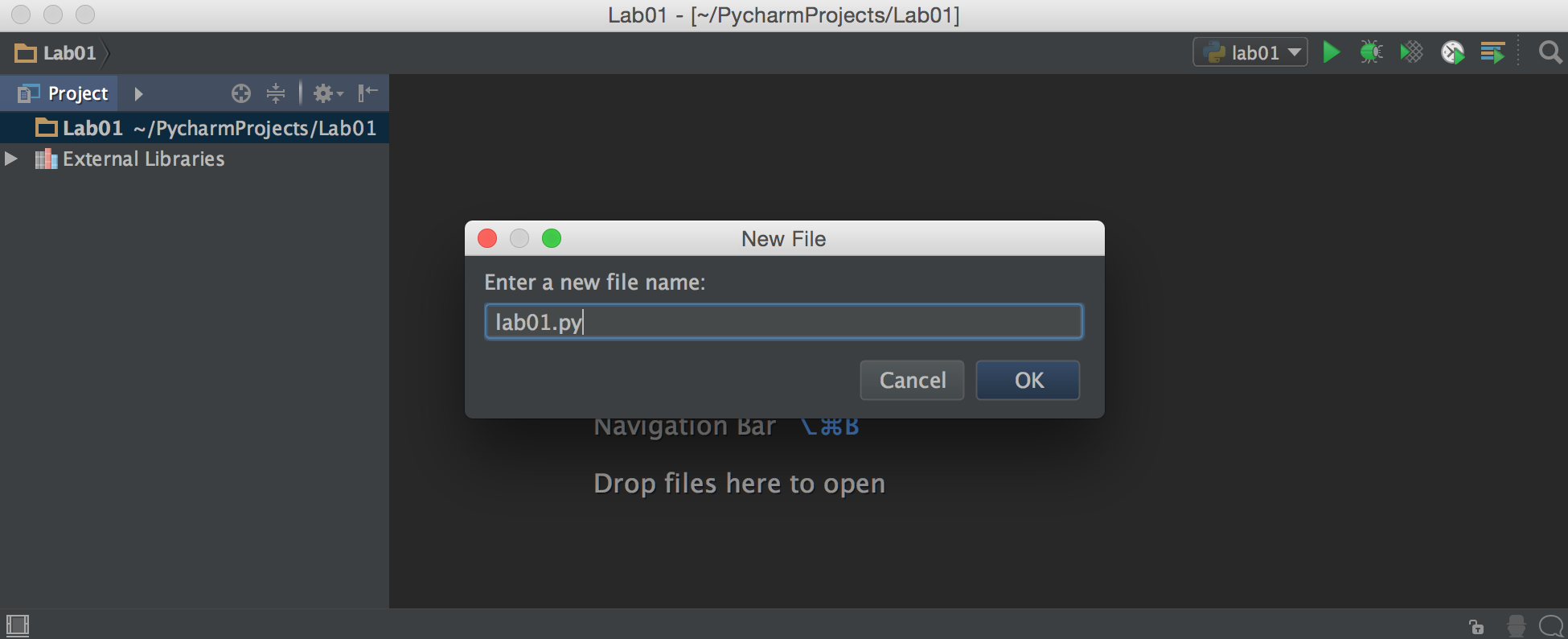 PyCharm enter the new file-name