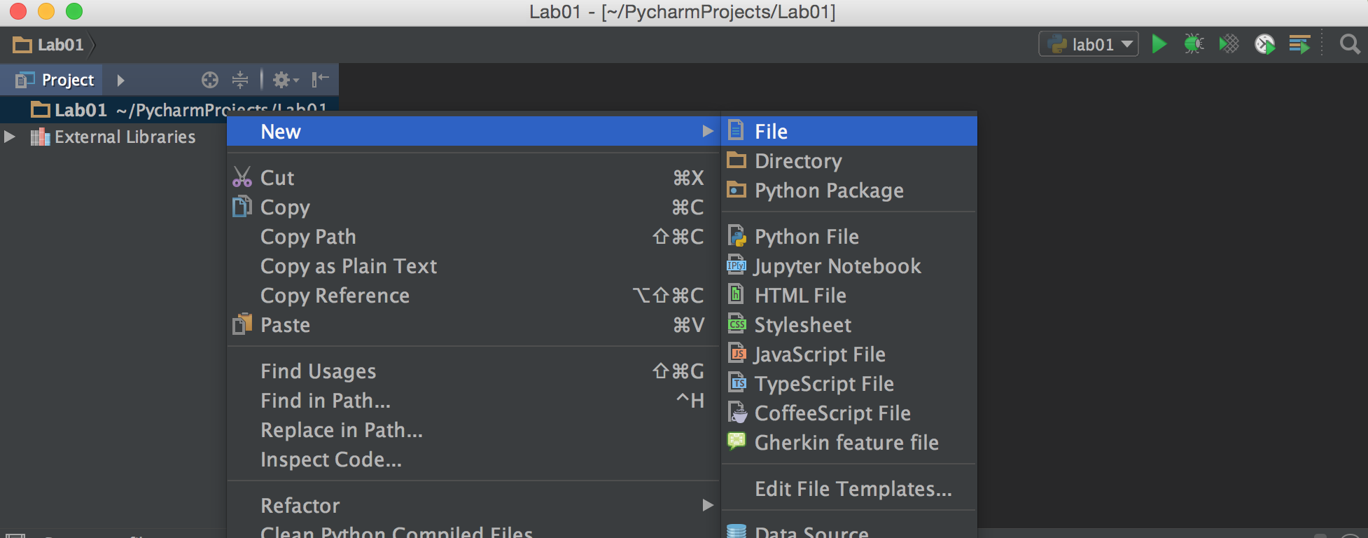 PyCharm Create a new file